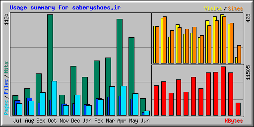 Usage summary for saberyshoes.ir